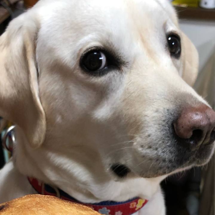 A9c703ae 84c0 4f5e a2a7 7d2ab2b2c320 1579251535409