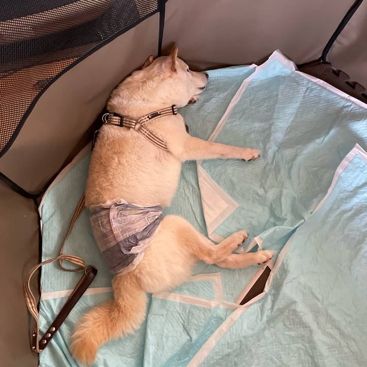 A9c718ea 05c3 4bfc 8033 ba725d1cf539 1652525518246