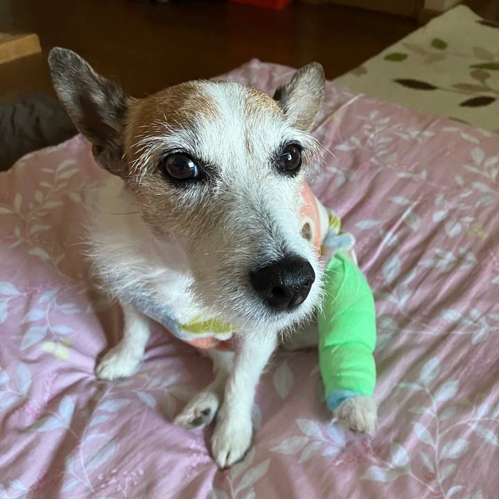 A9c7284c 5606 44a1 ae42 7109aec18640 1715815558478