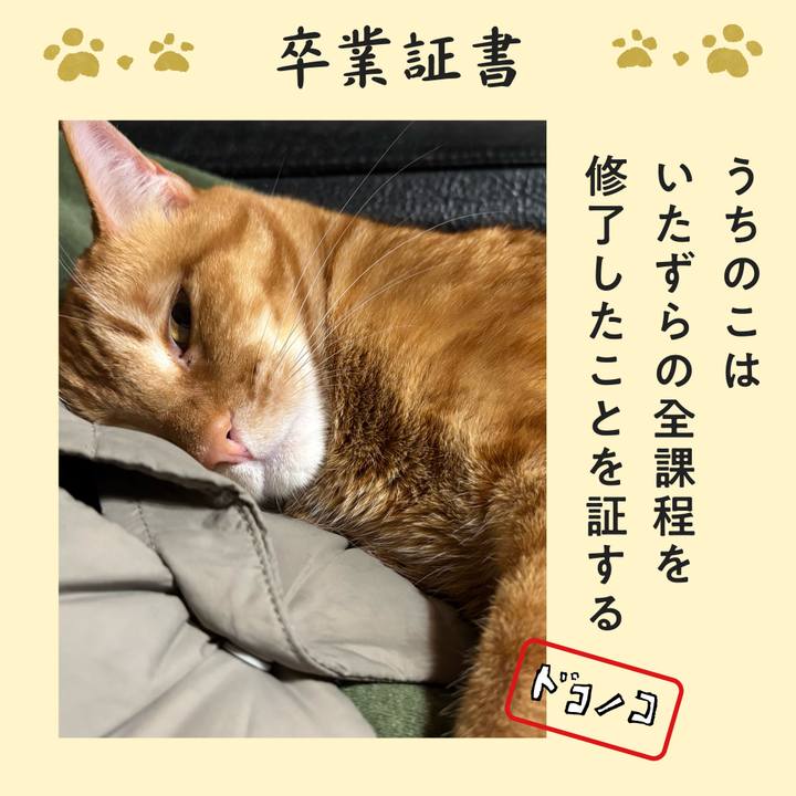 A9c776c2 bc5b 4888 9d97 244c64fb01b7 1772081148540