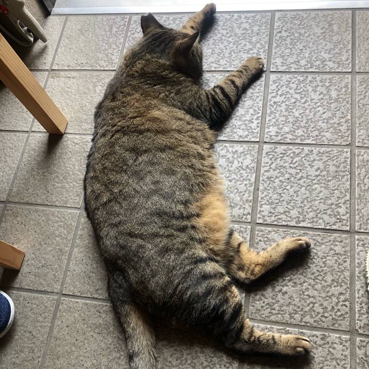 A9c78ee7 a1f0 4602 a27b 09ef793fcb8c 1557108895234