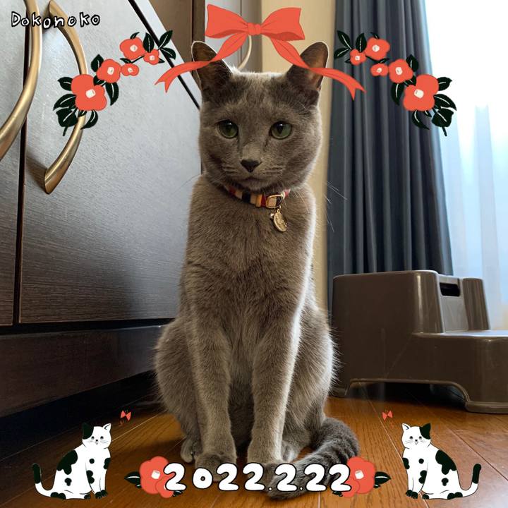 A9c7a760 087f 4507 afaa f6a5ac964cdd 1645528018922