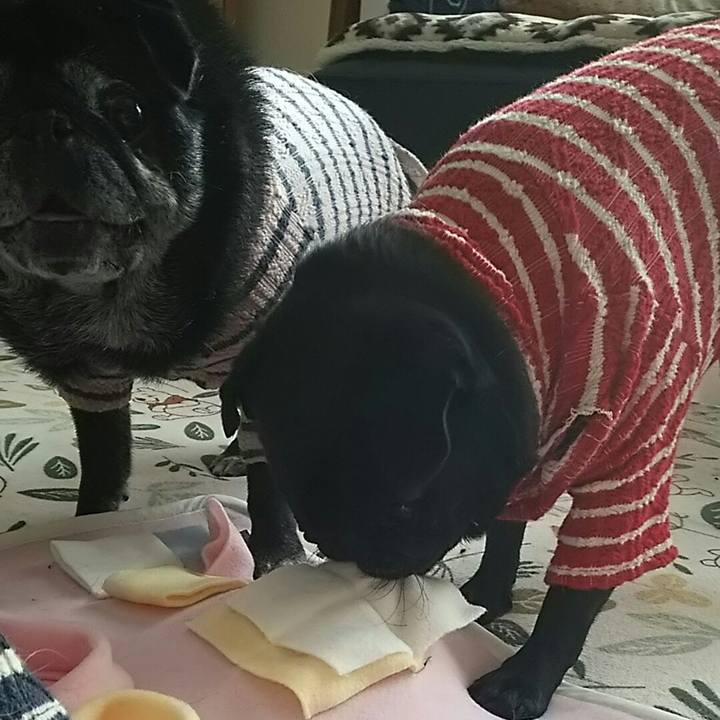 A9c7b1f8 1e44 4b31 97fa cfc131caa8a0 1541480916655