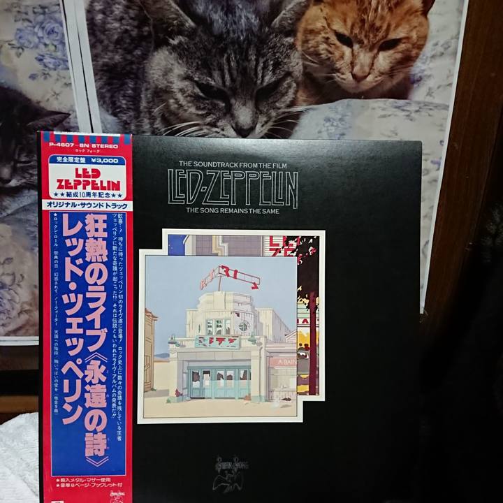 A9c80460 99dc 4a3f 84c1 184fc49c8e30 1621863171782