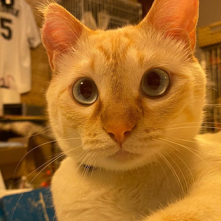 A9c824d6 fdfe 4a92 9af4 89bd29ae7986 1620773994525