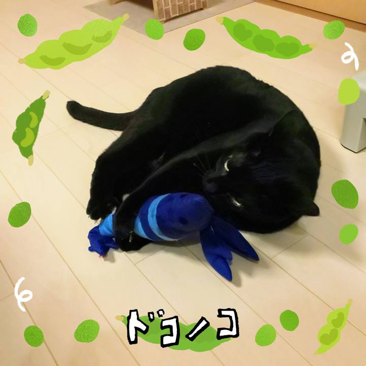 A9c853bd bff3 4d5b affe 184b397d61ec 1721221163631