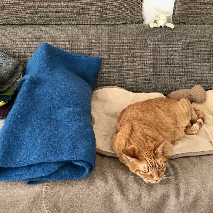 A9c85495 7004 4a00 8479 656bb3dd0506 1575432463815