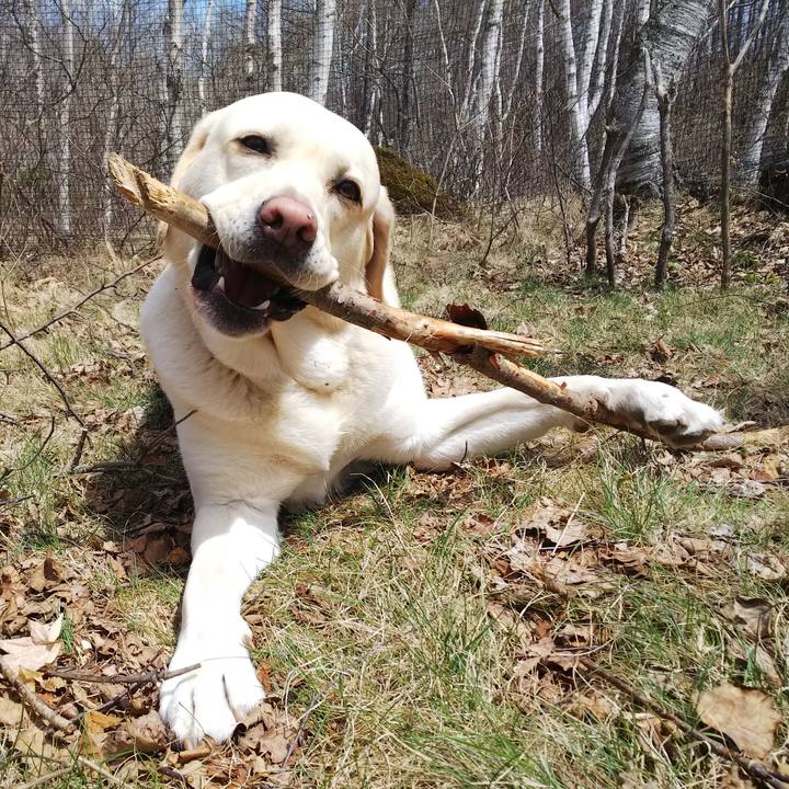 A9c8b395 5a7f 4838 8bb1 8548a448d3e5 1556428416740