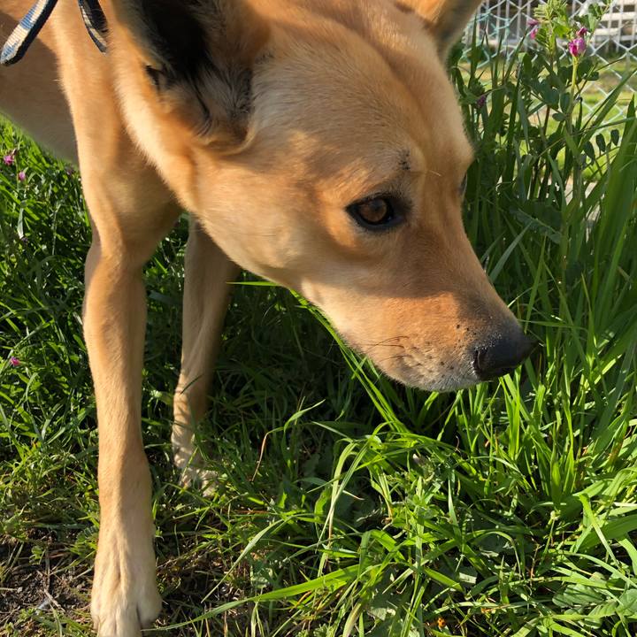 A9c8ef6d c88a 454c ac38 6f046d53bb4f 1554019927739