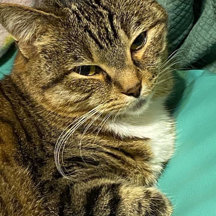 A9c8f027 25ba 4d3d a447 6d78e2159a46 1616849333141