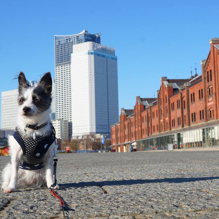 A9c92c4d fd84 4119 9c0b 86ad3f897fce 1578314771895