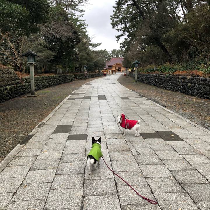 A9c94842 4fd3 4591 84a8 5daa64ef2160 1577405609557