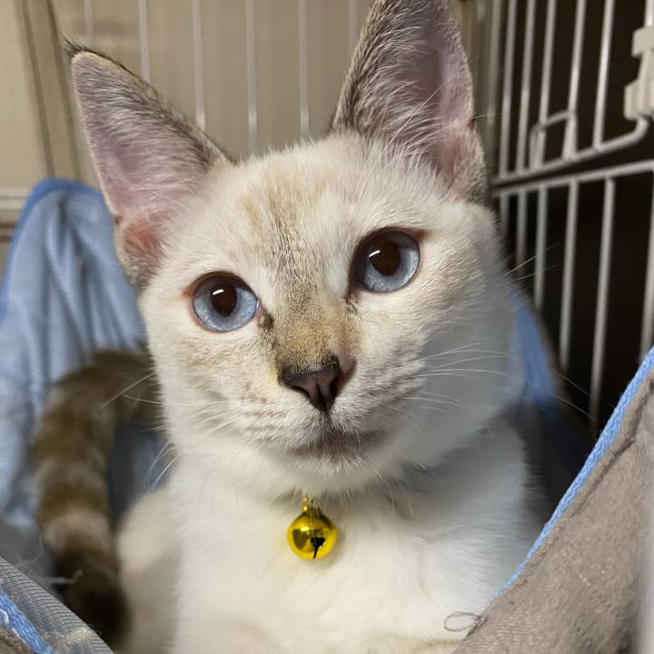 A9c9c836 76ce 406c ae32 46ff21564a34 1630661972555