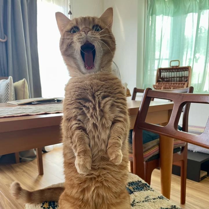 A9c9cdbe 2fa9 4558 84c1 404673d2b1b8 1772262944041