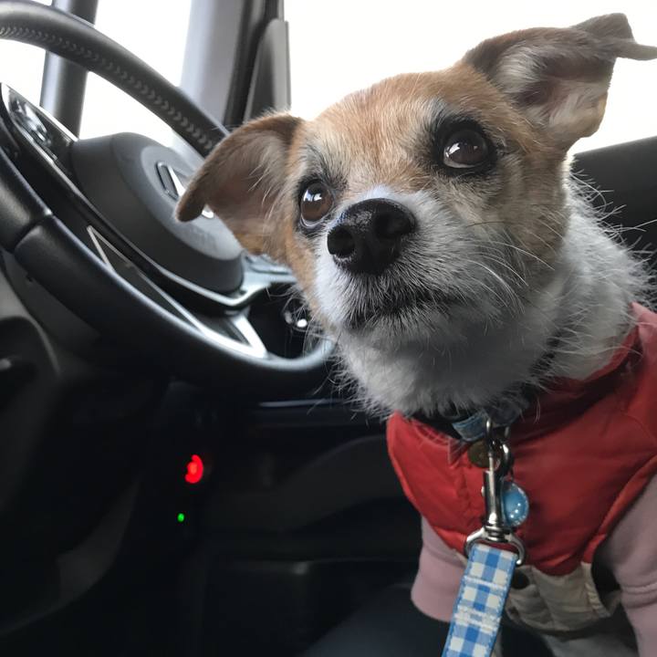 A9c9d1b4 64d3 43f7 b7b2 69319ade1ed3 1608451211008