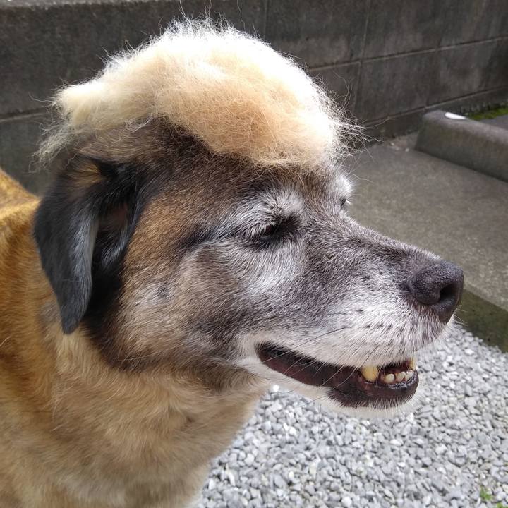 A9ca1aaf 8086 4c5b ab6a b351b9b18728 1624924525287