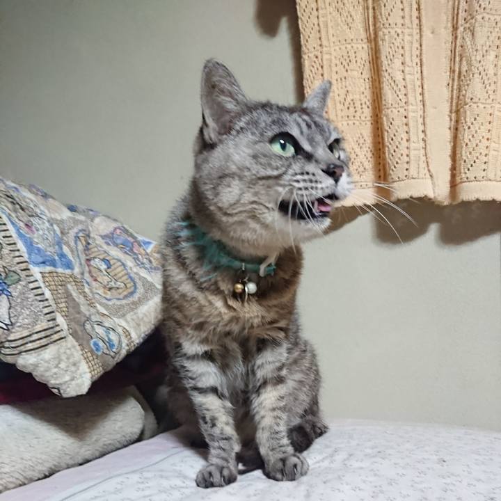 A9ca1f11 c78a 4480 be12 9189968a57a1 1570008433649