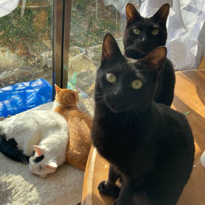 A9ca3895 b6ed 4944 a521 0b80d9a0d76b 1706682097817