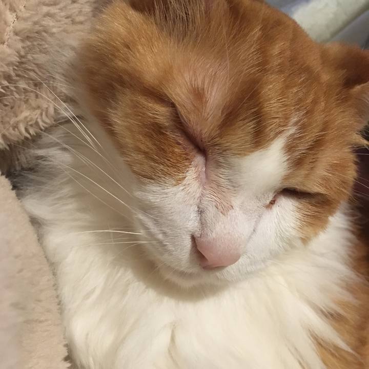 A9ca43ec 5bb0 4bc0 866a 0c6b448f35f4 1579345755315