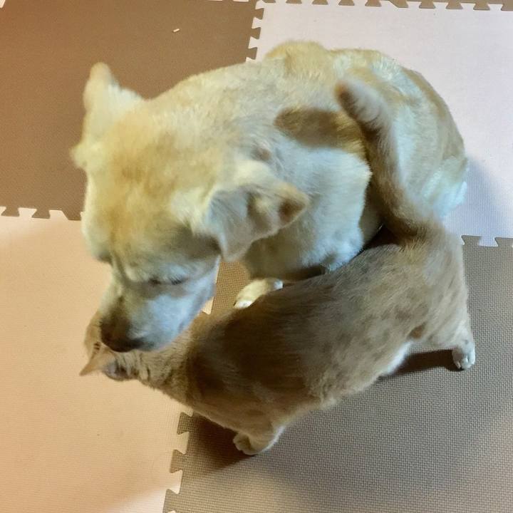 A9ca869f 63d3 4ef8 be1c b1b77ee70675 1538479023554