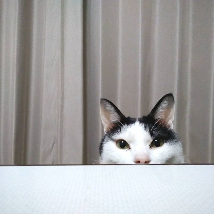 A9caa9b8 9ad6 49a8 b5e5 7fdc684ff409 1554127034515