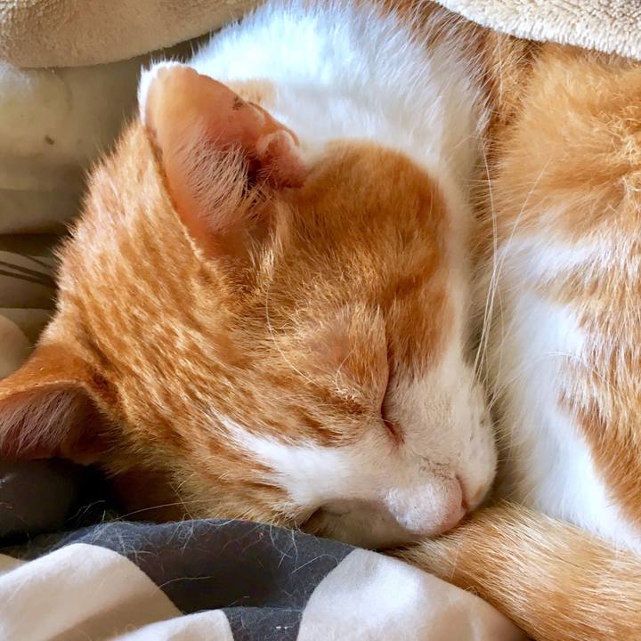 A9caef3c c531 4e3e ae18 b3c0a575be12 1570604500230