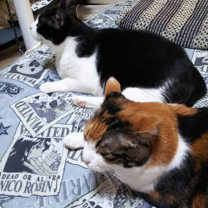 A9cafe46 b992 45ab 9105 20020d3cbeb2 1526772462967