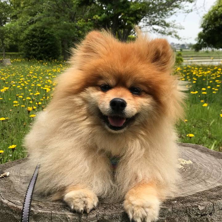 A9cb08d2 afac 4280 a09f f9c760e20fc0 1526101127188