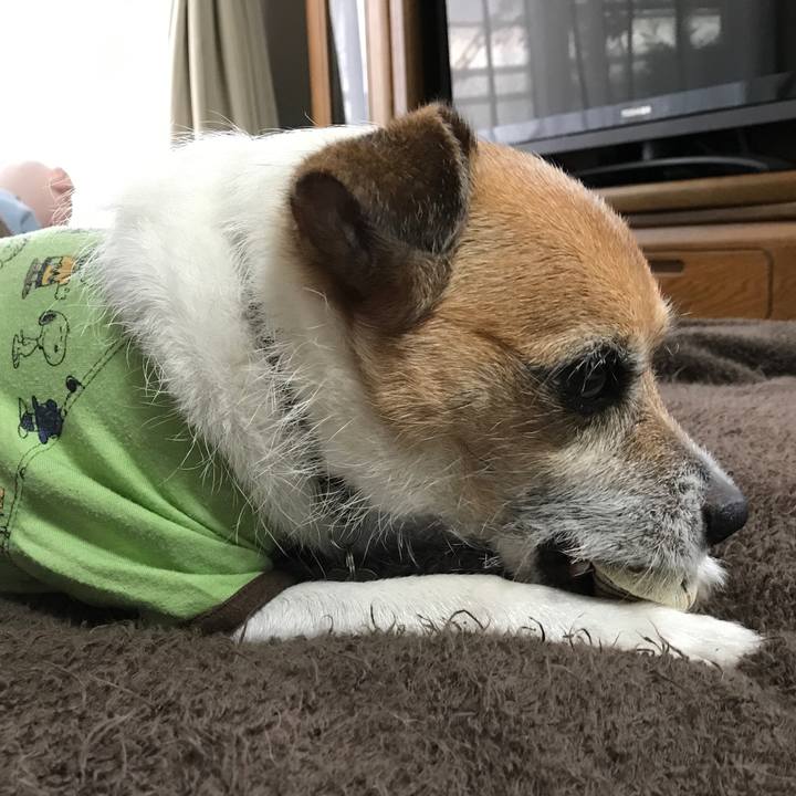 A9cb0cb6 1f0d 4954 b5b4 8fd934e0a98c 1571869814075