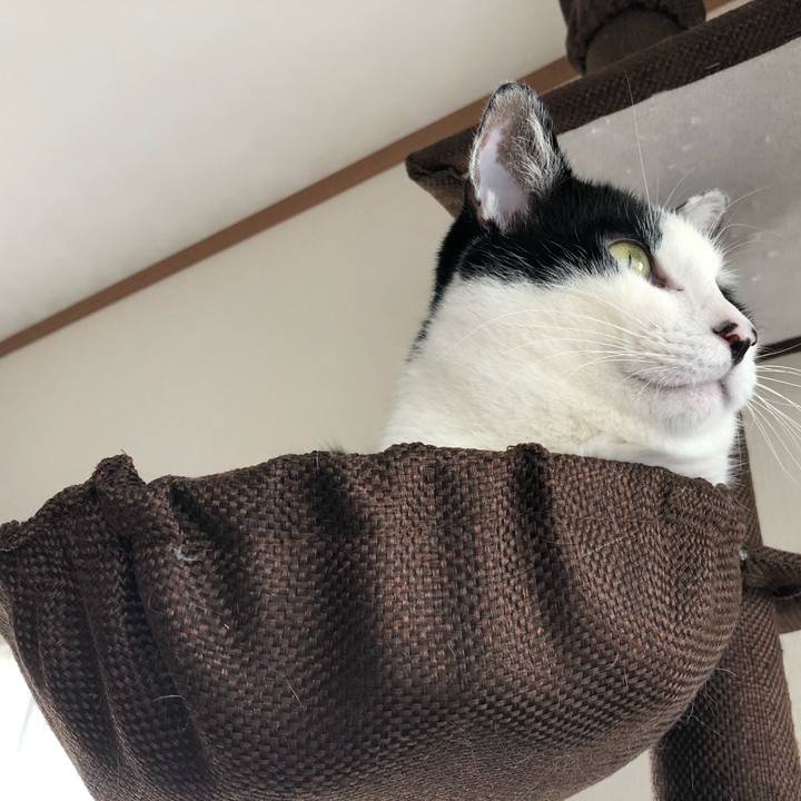 A9cb127a f01f 4f95 99bb a8e5d797ee9d 1548643688012