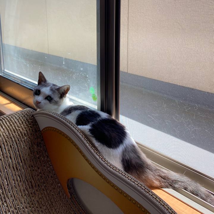 A9cb47a2 0fbf 4d37 b630 2de64babbcd4 1619573885259