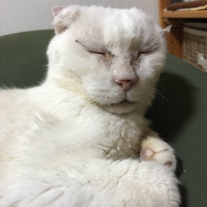 A9cb5d3f eefa 46d6 9115 5788cb1bb56b 1535980930494