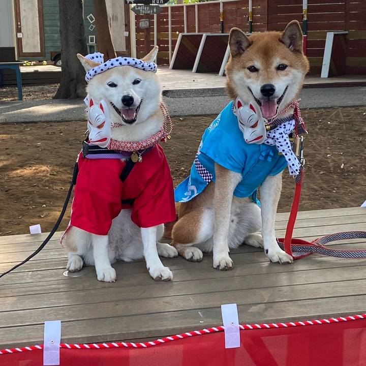 A9cb74b0 4cdf 4fa0 8e59 f450c5c24347 1692931752946