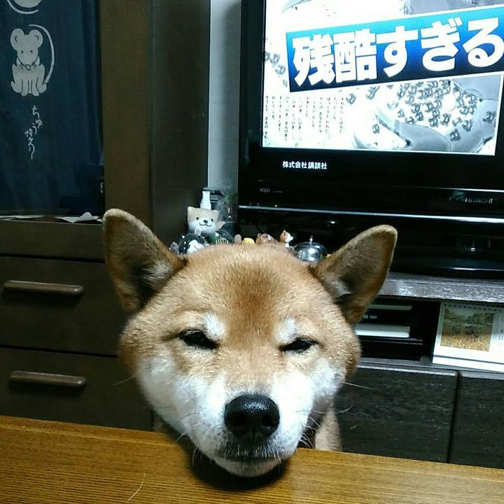 A9cbdc91 af30 4593 933d 3b5f59391815 1543315110379