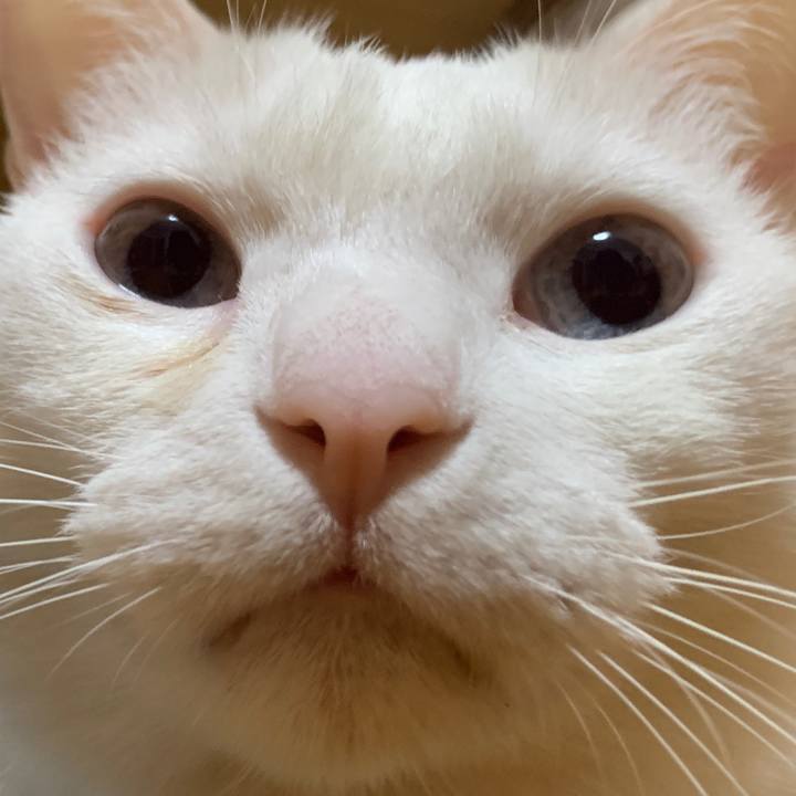 A9cbe104 d5f5 4304 922f 46b4226073af 1648894634874