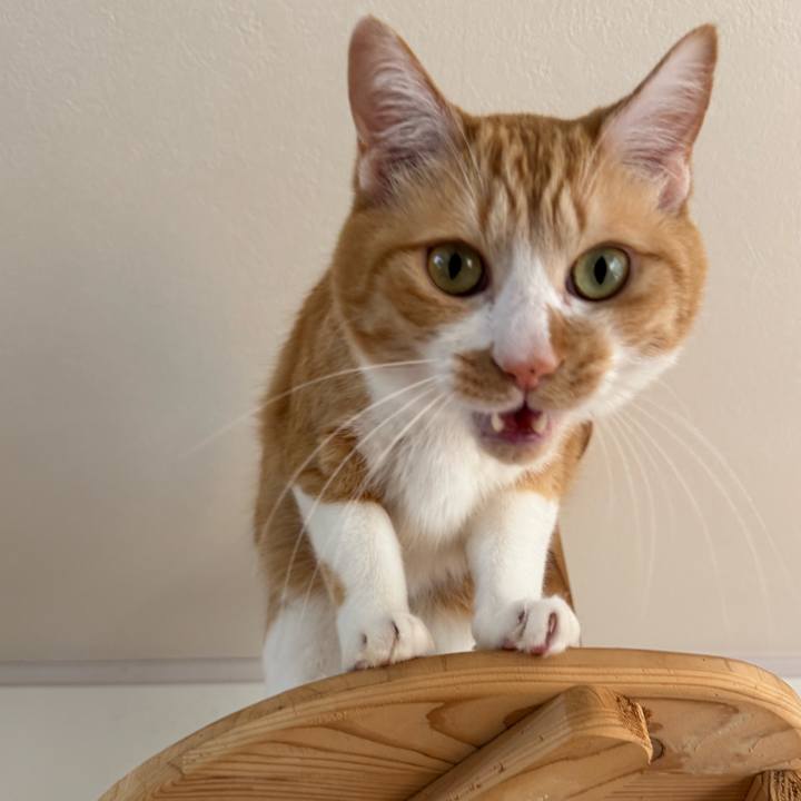 A9cbe82f f904 480b bfa7 dd945718c769 1774153382560