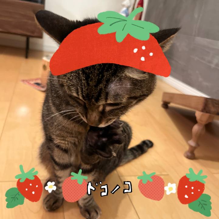 A9cbf80c c8f2 4b62 af81 7817c2f57c52 1775209311120