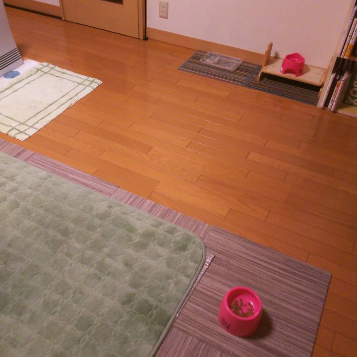 A9cc0472 6bfe 4af2 9dde 4a6e2778733c 1509792575966