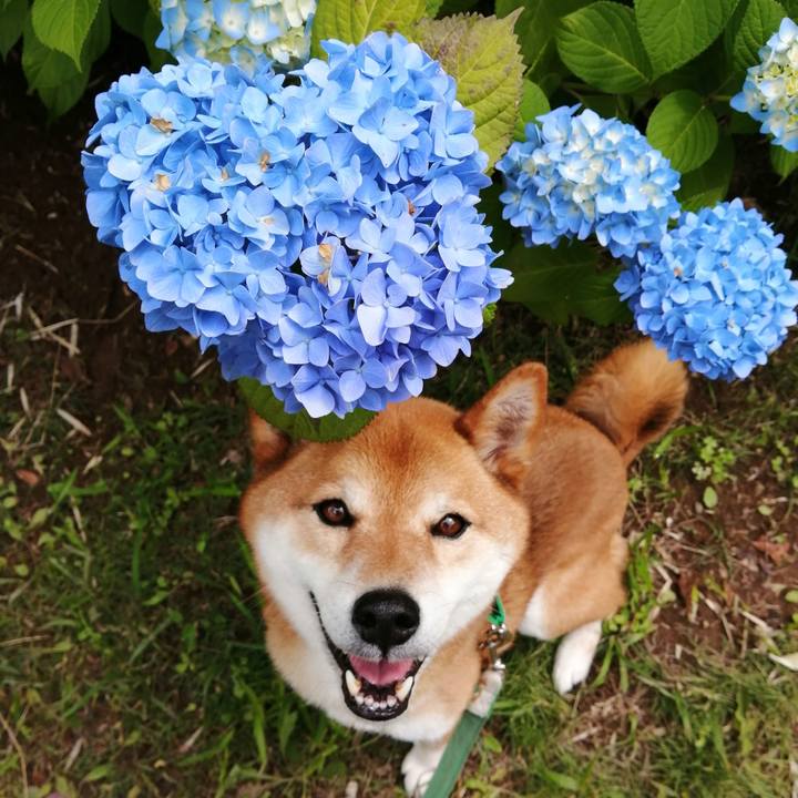 A9cc119a 49a5 4d14 a71a d23ff05f8f2a 1622603639165