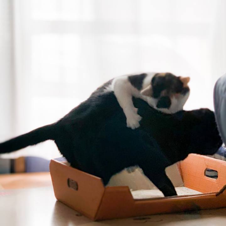 A9cc76ea f51d 48e7 b111 7e680c9de018 1601778405162