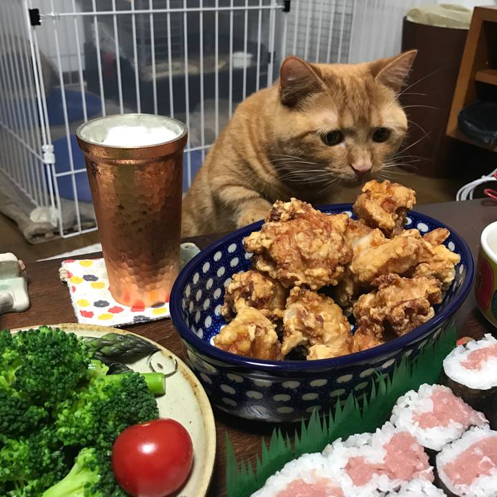 A9ccabbb d67b 476d 92f1 9613dc0c94b8 1525086308562