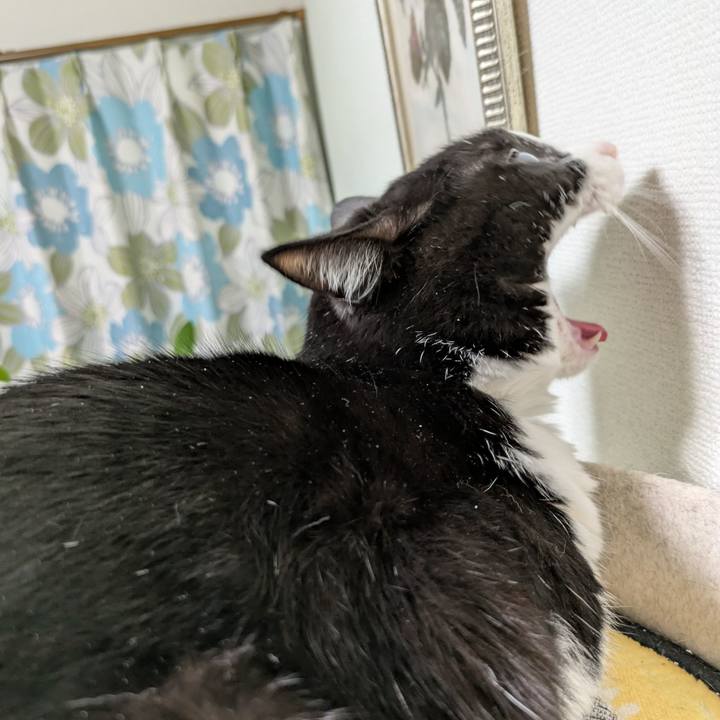 A9ccb476 a9a3 4a03 a430 091fa8d71298 1768830603592