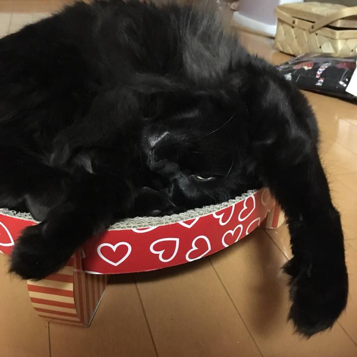 A9cce63f fdd2 4024 b55a 28b64ce28e0d 1524240052063