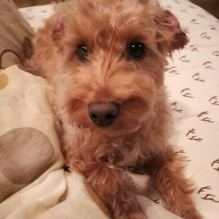 A9cd0c70 2628 46d0 b127 c2451bd9ee27 1525866424239