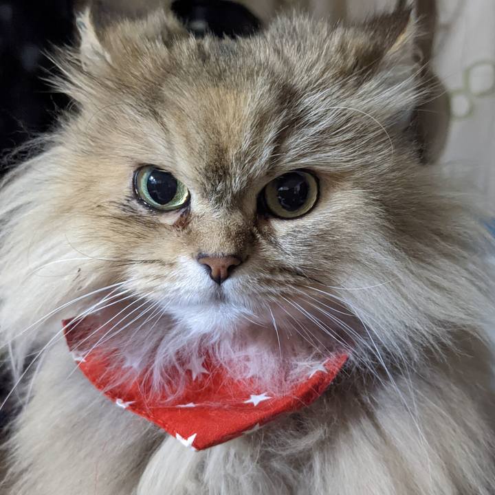 A9cd11e0 15a5 4f39 820c 960f3169cf2f 1646732761756