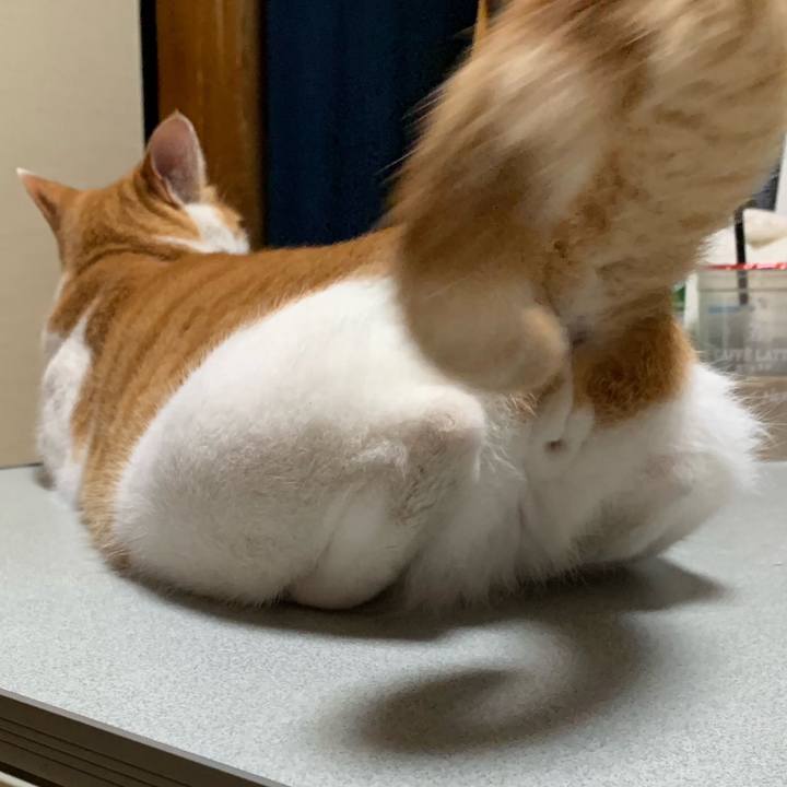 A9cd4bcb ff60 4a36 9034 514716db81c6 1563727805991