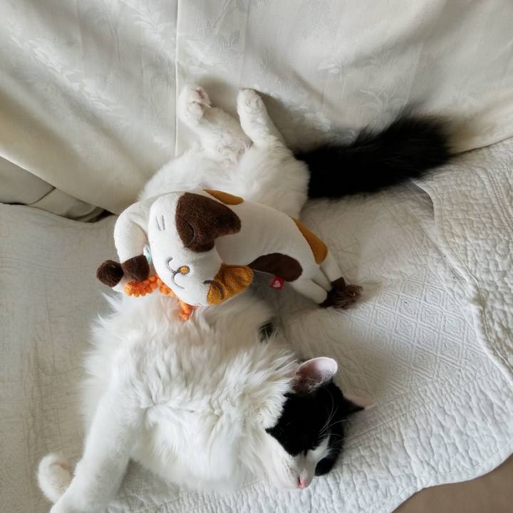 A9cd57e3 f7da 44d7 a4a7 3237cdf642cb 1533103598672