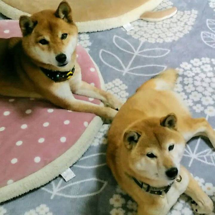 A9cd6ba5 9d5c 43e6 ad21 0f3fa8a5f60d 1579173372238