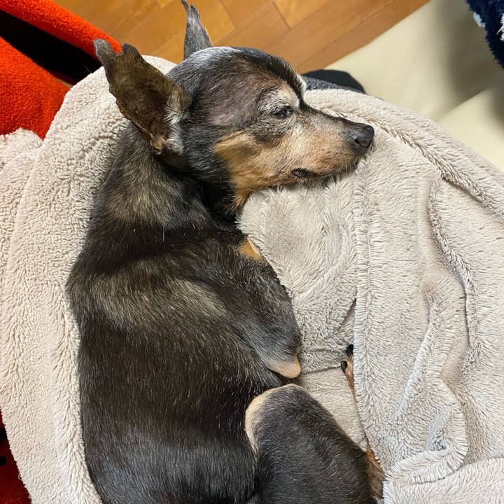 A9cd84e2 f0f2 41f9 baeb 73bbbddf1e51 1610537608395