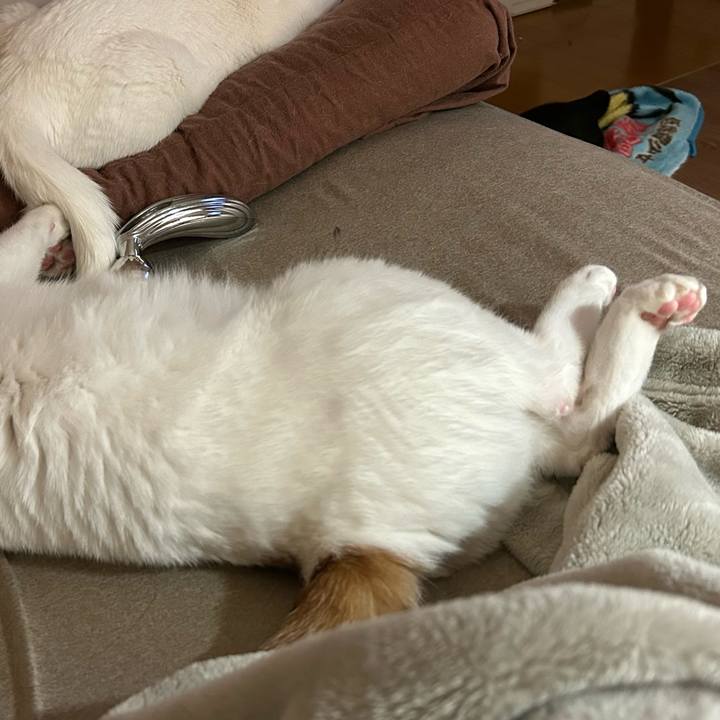 A9cd8af0 20b0 4d14 8b63 913a1e417981 1678051491759